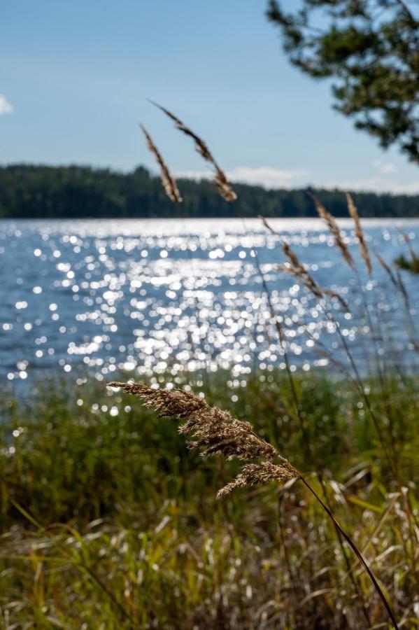 Saimaan Kultaranta Villa Puumala Exterior photo